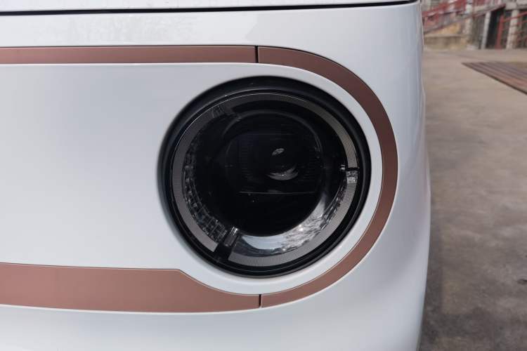 Used  Panda 2024 Panda Mini 200km Endurance Bear
