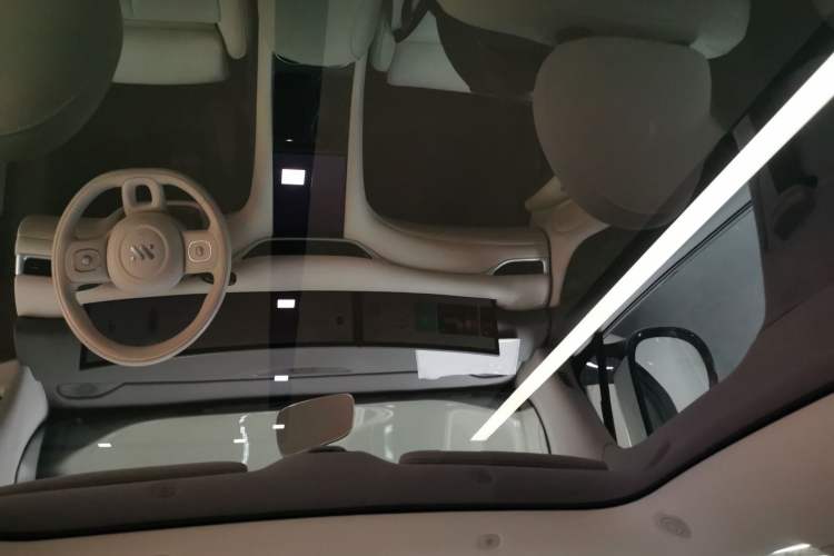 Used  LS6 2023 Max Extended-Range Version
