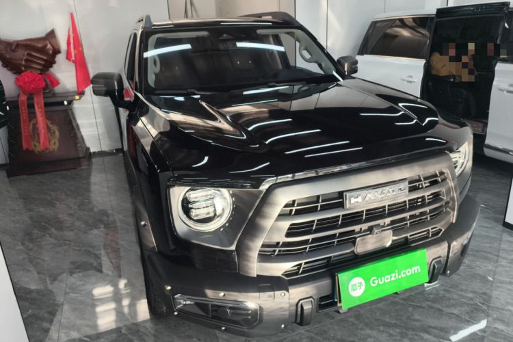Used Haval DARGO 2024 2.0T DCT Chinese Rural Dog Edition
