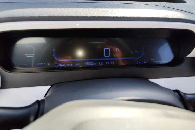 Used  Panda 2025 210 km – Yuanqi Bear
