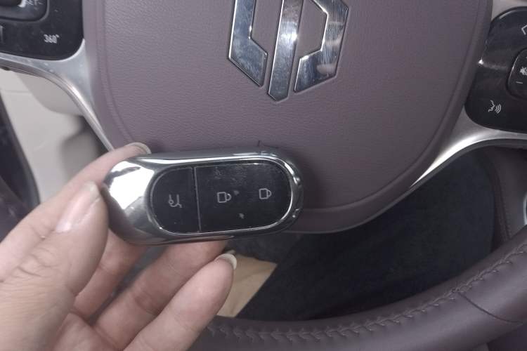 Used Leapmotor C11 2023 Pure Electric 500 Comfort Edition
