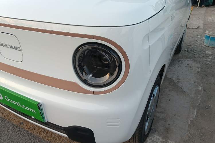 Used  Panda 2024 Panda Mini 200km Endurance Bear
