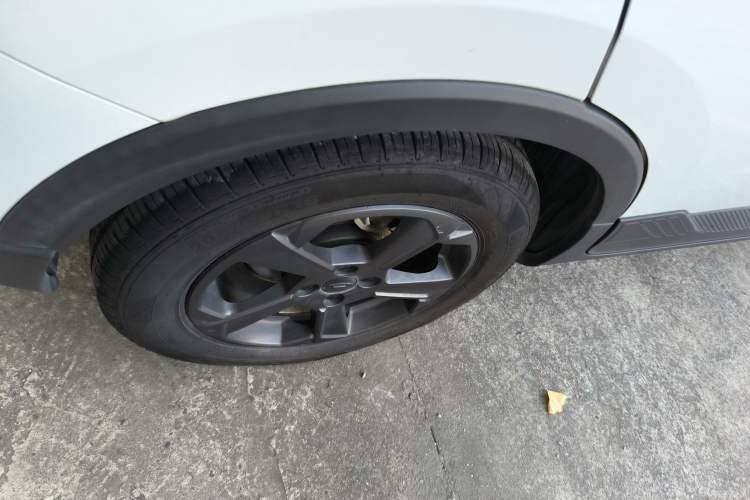 Used Geometry E Firefly 2022 320KM Cute Tiger 4-Seater
