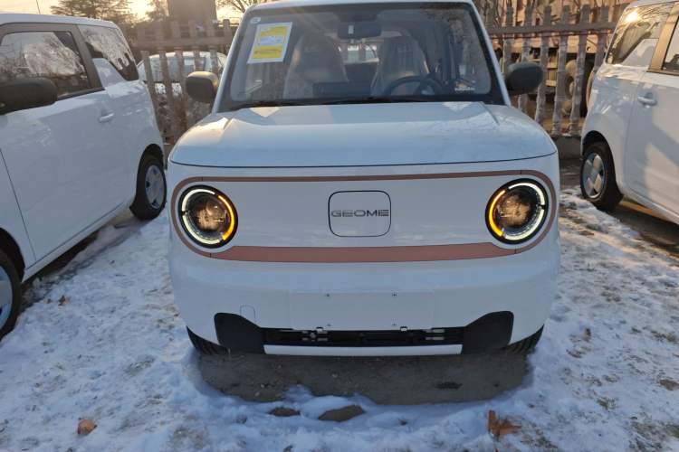 Used  Panda 2024 Panda Mini 200km Endurance Bear