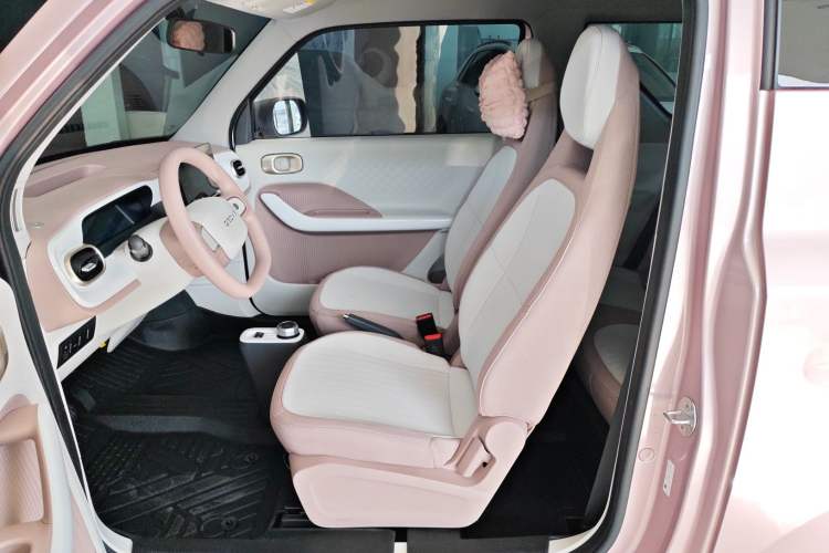 Used  Panda 2025 210 km – Yuanqi Bear