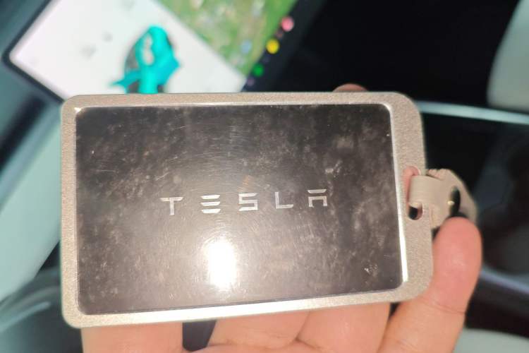 Used Tesla Model Y 2021 Long-Range All-Wheel-Drive Version 3D7
