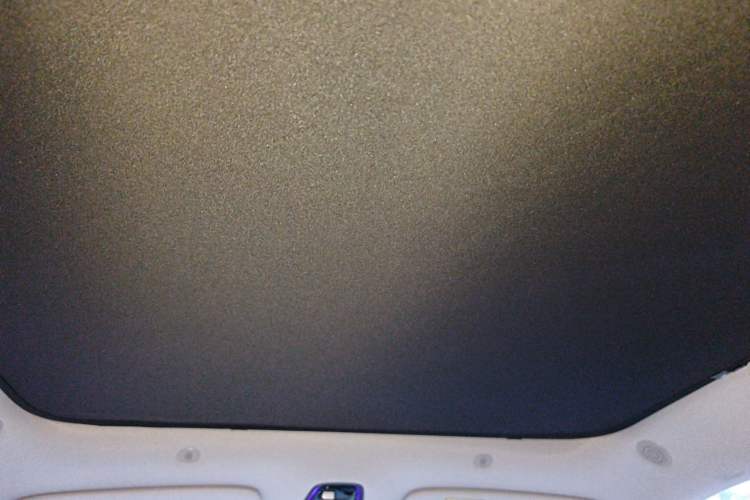 Used  LS6 2023 Max Long-Range Version
