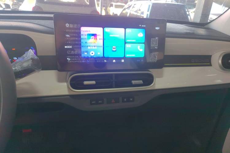 Used  Panda 2025 210 km – Yuanqi Bear
