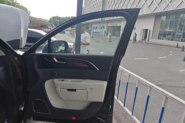 Used Hongqi E-HS9 2021 460 km Range Flagship Edition Six-Seater
