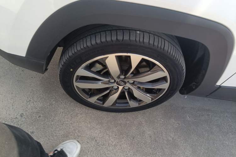 Used  iEVS4 2019 Luxury Smart Edition