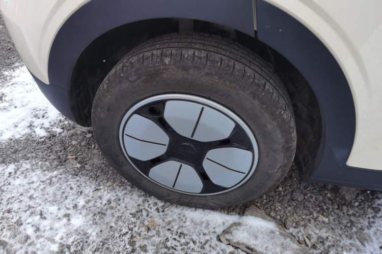 Used  Geome 2025 310km Youth Edition