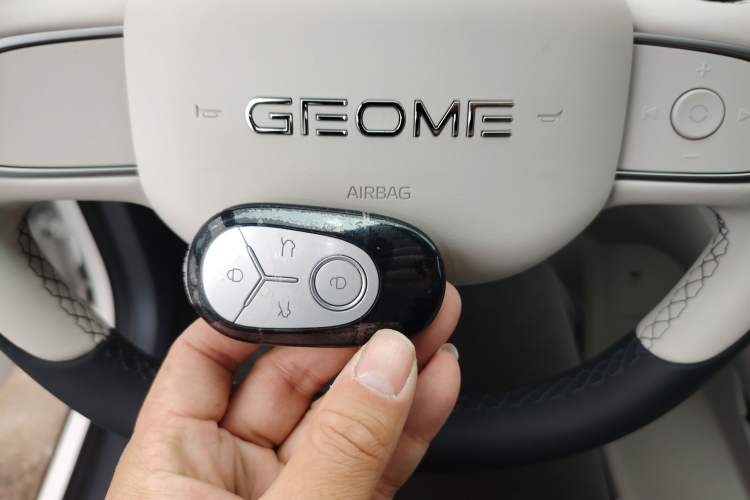 Used  Geome 2025 310km Youth Edition