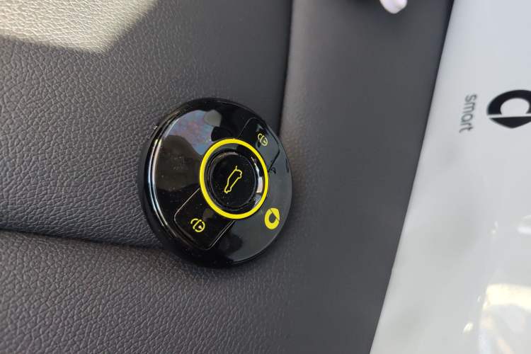 Used  #1 2024 Dynamic Standard Edition
