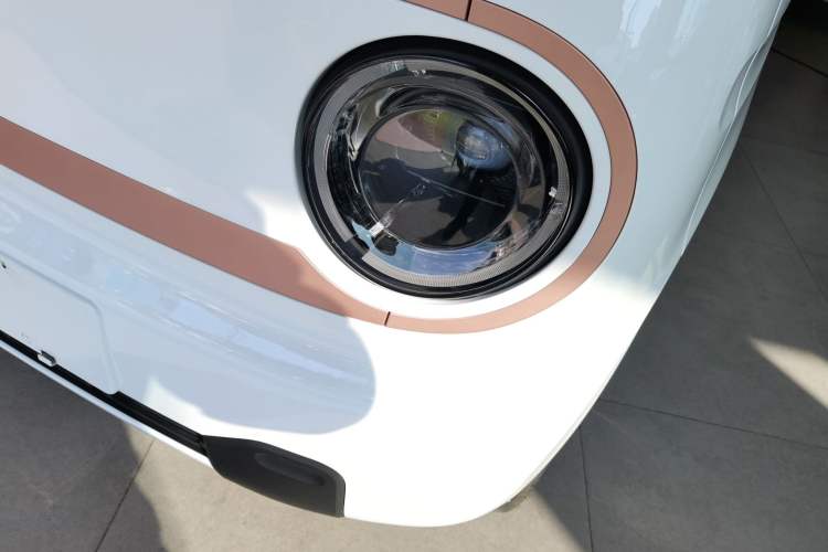 Used  Panda 2024 Panda Mini 200km Endurance Bear