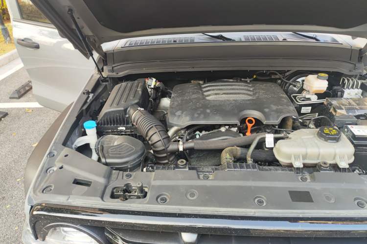 Used Tank 300 2024 2.0T Conqueror
