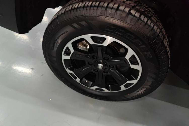 Used Tank 300 New Energy 2024 Hi4-T
