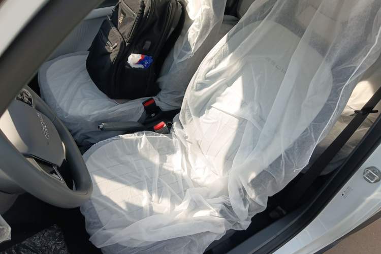 Used  Panda 2025 210km Panda Kart