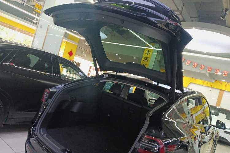 Used Tesla Model Y 2021 Long-Range All-Wheel-Drive Version 3D7