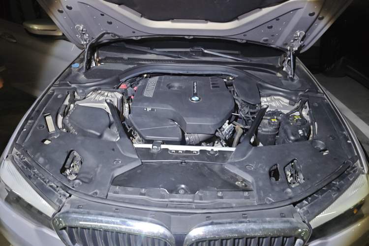 Used BMW 5 Series 2018 528Li Launch Special Edition
