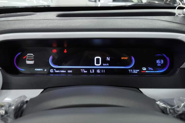 Used  Panda 2025 210 km – Yuanqi Bear
