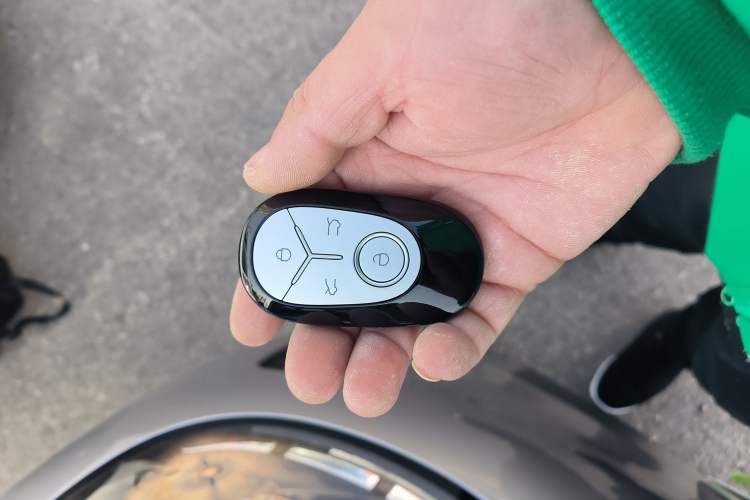 Used  Geome 2025 410 km Free Version
