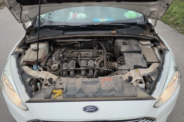 Used Ford Focus 2017 Sedan 1.6L Automatic Comfort Plus SmartDrive Edition
