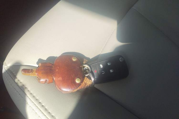 Used Buick GL8 2018 28T Prestige Version China VI Standard