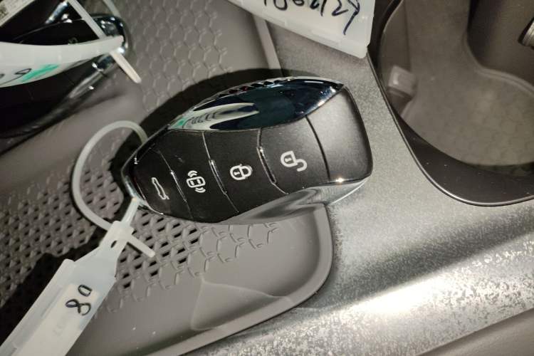 Used Hongqi Tiangong 08 2025 605 Pioneer Edition
