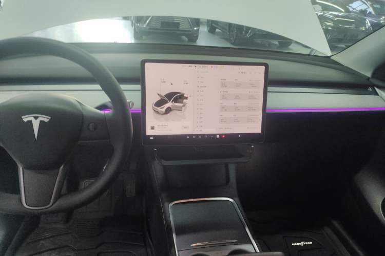 Used Tesla Model Y 2023 Long-Range All-Wheel-Drive Version
