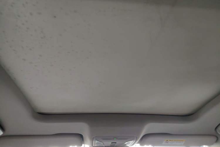 Used Hongqi HS7 2021 2.0T DCT Two-Wheel Drive Smart Connect Flagship Edition