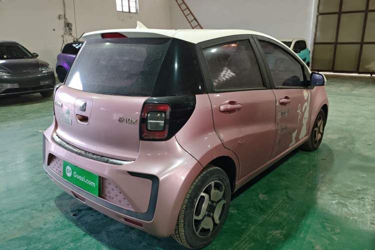 Used SOL E10X 2022 Flower Fairy Style Baby's Breath