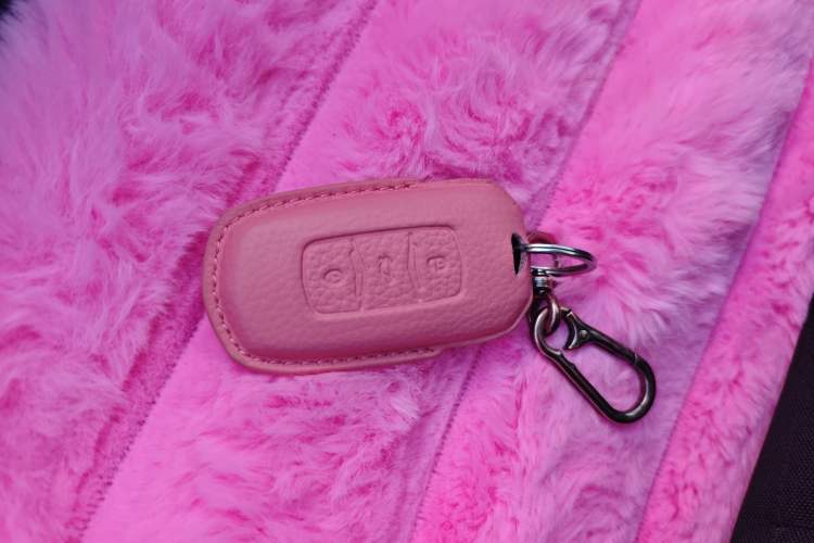 Used  Panda 2025 210km Panda Kart
