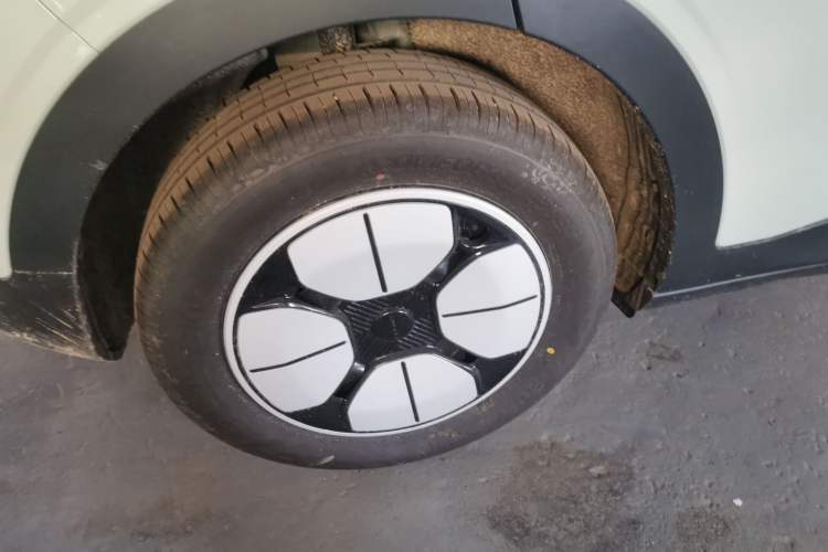 Used  Geome 2025 310km Youth Edition