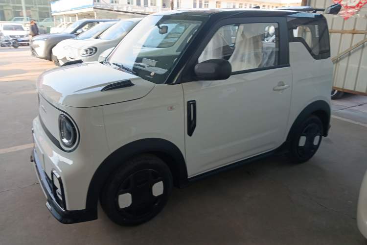 Used  Panda 2025 210km Panda Kart
