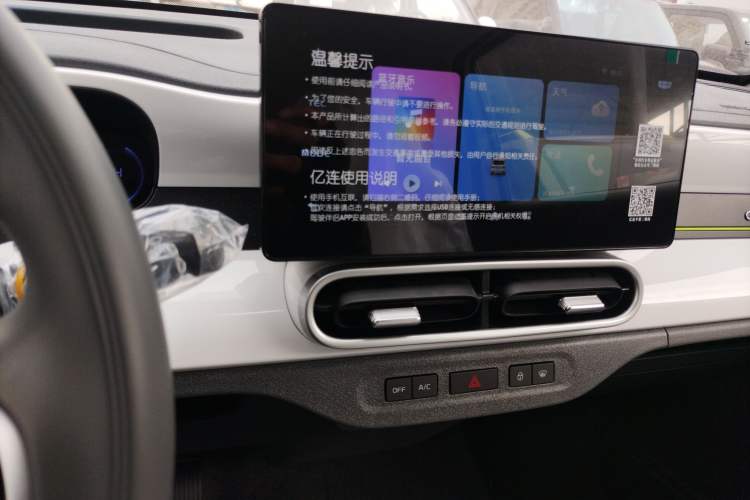 Used  Panda 2025 210 km – Yuanqi Bear