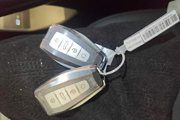 Used Geely Auto Monjaro L 2024 2.0TD DCT EVO Two-Wheel Drive Long-Range Version
