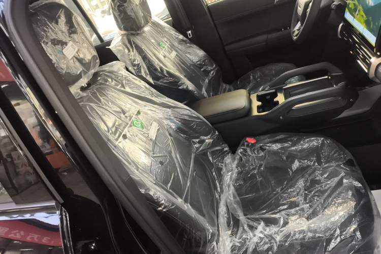 Used  03T 2024 520km Two-Wheel Drive Long-Range Version