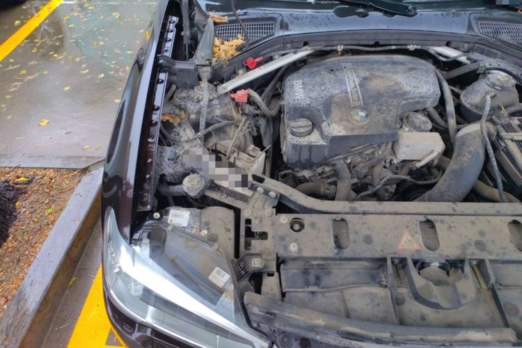 Used BMW X4 2014 xDrive20i X Design Package
