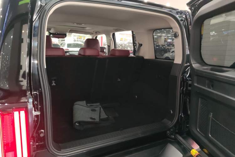 Used Tank 300 2024 2.0T Conqueror