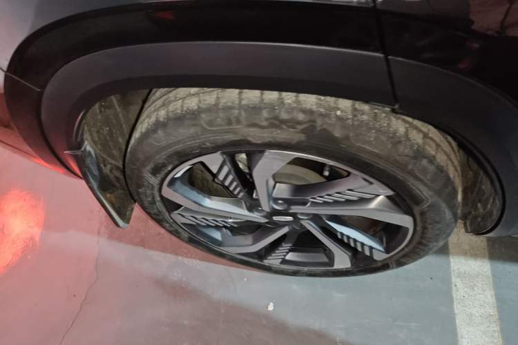 Used Geely Auto Monjaro L 2024 2.0TD High-Power Automatic Two-Wheel Drive Skyline Edition
