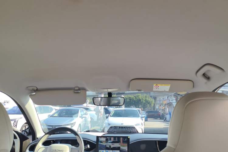 Used  Geome 2025 310km Youth Edition
