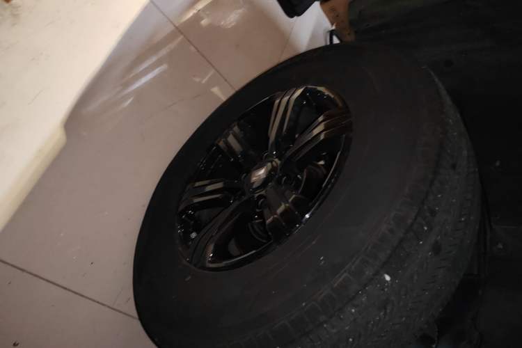 Used Tank 300 2024 2.0T Conqueror
