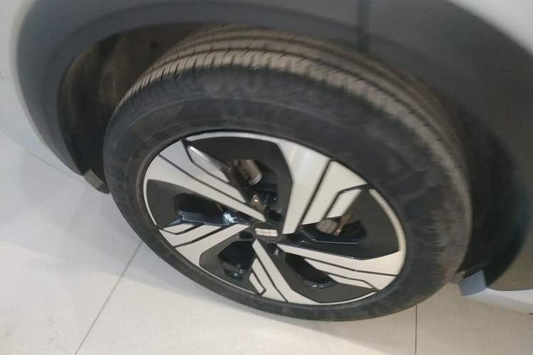 Used  E5 2024 530km Starship Edition
