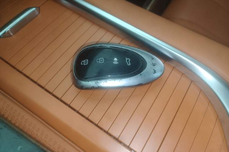 Used Wey Lanshan 2023 Four-Wheel Drive Ultra-Long Range Version