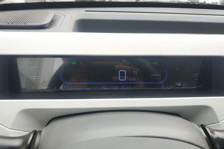 Used  Panda 2024 Panda Mini 200km Endurance Bear
