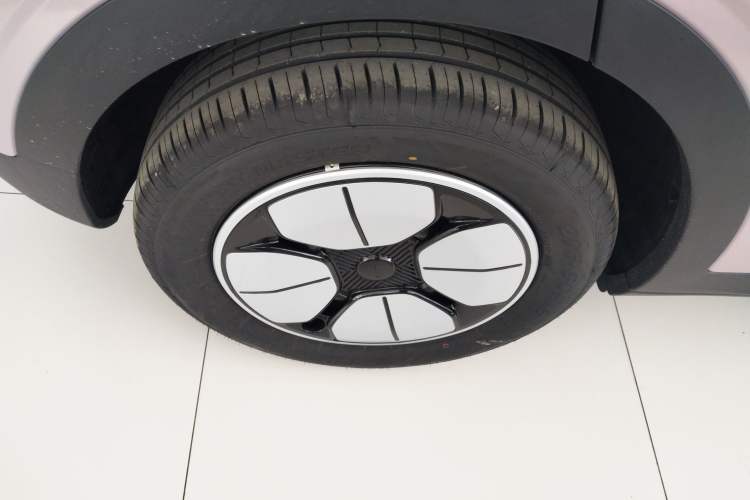 Used  Geome 2025 310km Youth Edition
