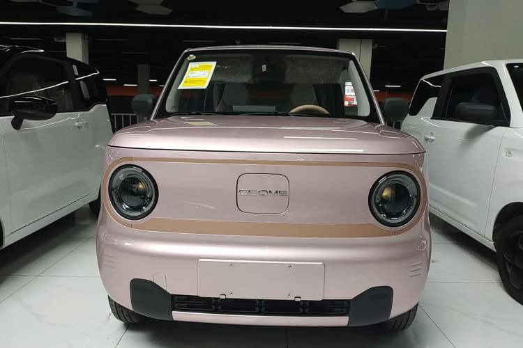 Used  Panda 2024 Panda Mini 200km Longteng PRO Edition
