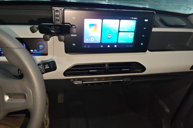 Used  Panda 2023 Panda Mini 200km Endurance Bear