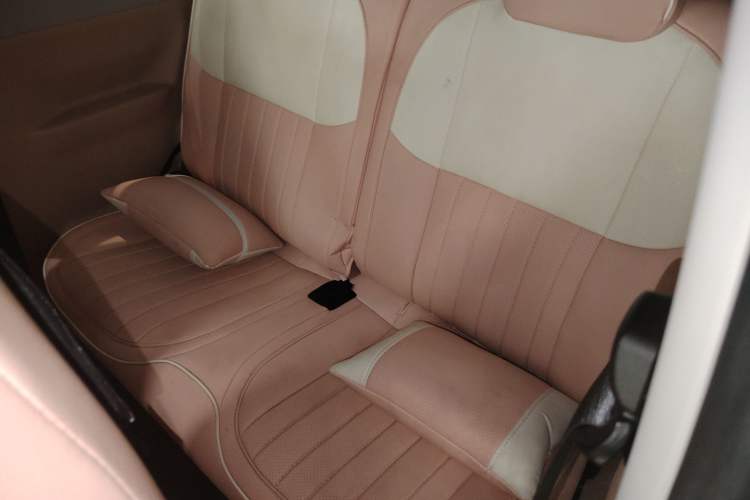 Used  Panda 2024 Panda Mini 200km Longteng PRO Edition
