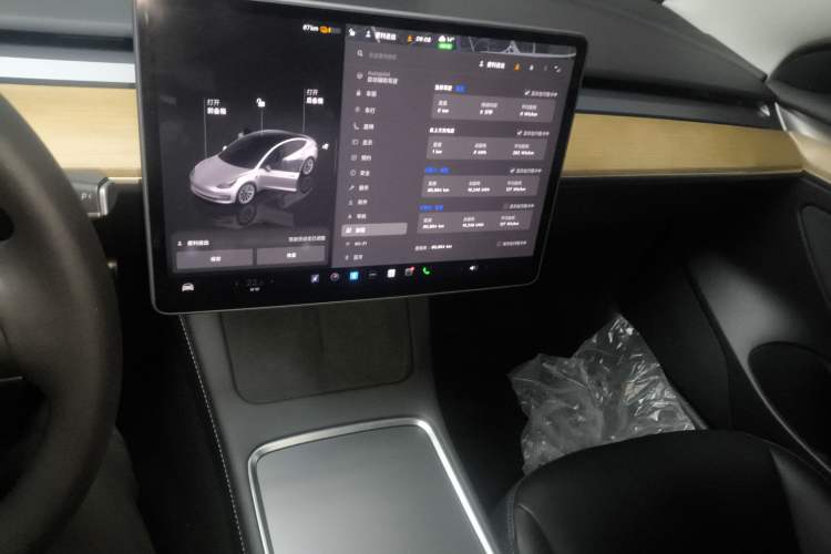 Used Tesla Model 3 2022 Rear-Wheel-Drive Version
